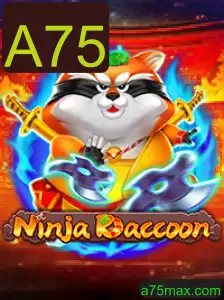 Explorando o Mundos de NinjaRaccoon: Um Novo Jogo Inovador